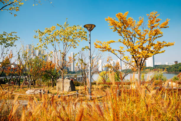 초보 방문자를 위한 종합 핵심 정리