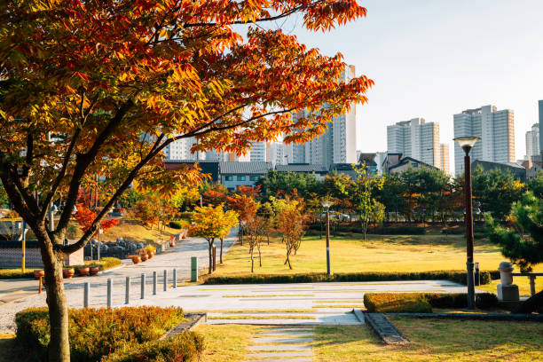 수원오피 인기 지역과 선택 전략