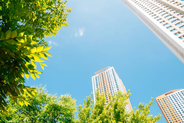 수원오피 소개 페이지 활용 방법